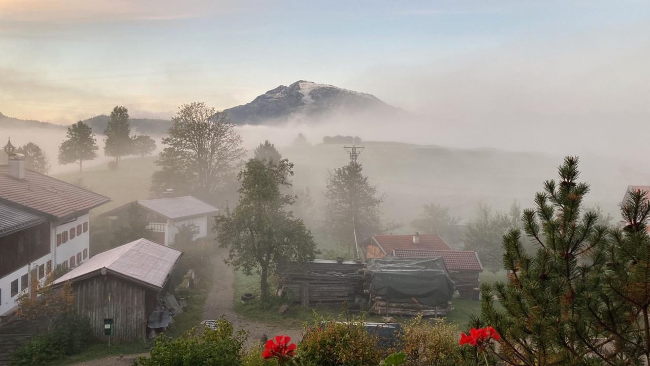 Ausblick bei Nebel Ausblick bei Nebel